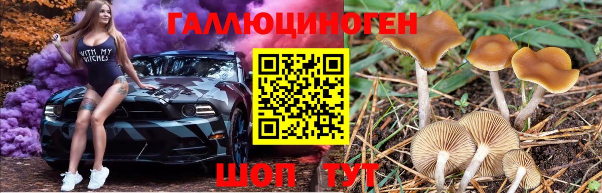 Псилоцибиновые грибы Magic Shrooms  Вход с VPN  Белая Калитва 